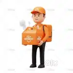 Food delivery job work in your free time
