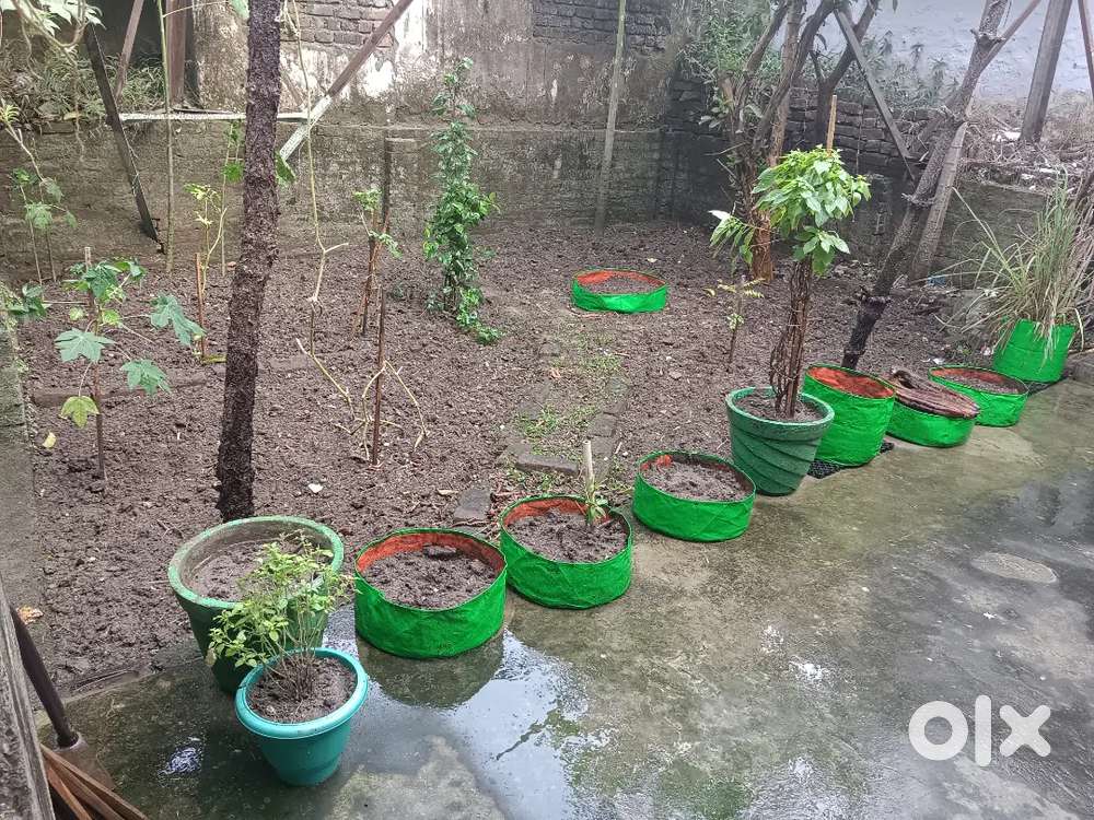 without rajistry urgent sell