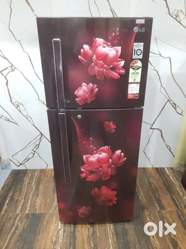 Lg smart inverter model 260 ltrs double door refrigerator $