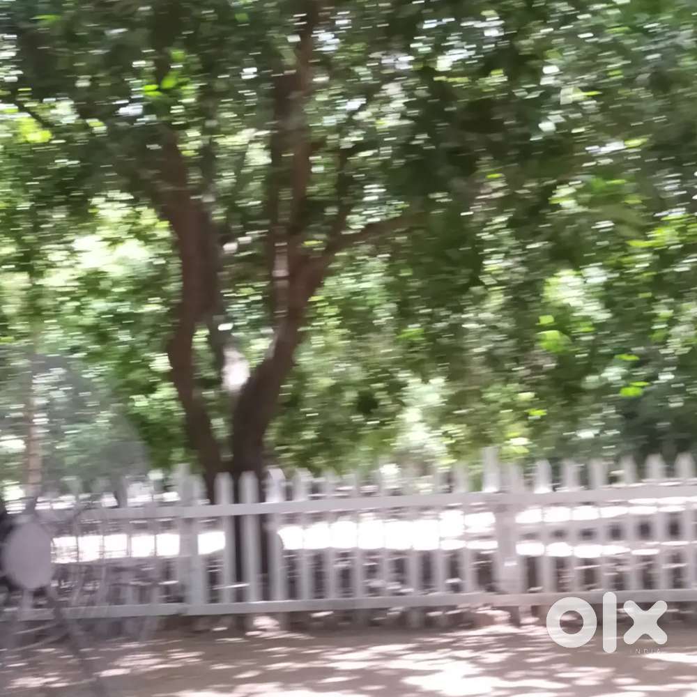 Farm Land (Teak & Mango) 20 Years Grown Trees at Chengalpattu