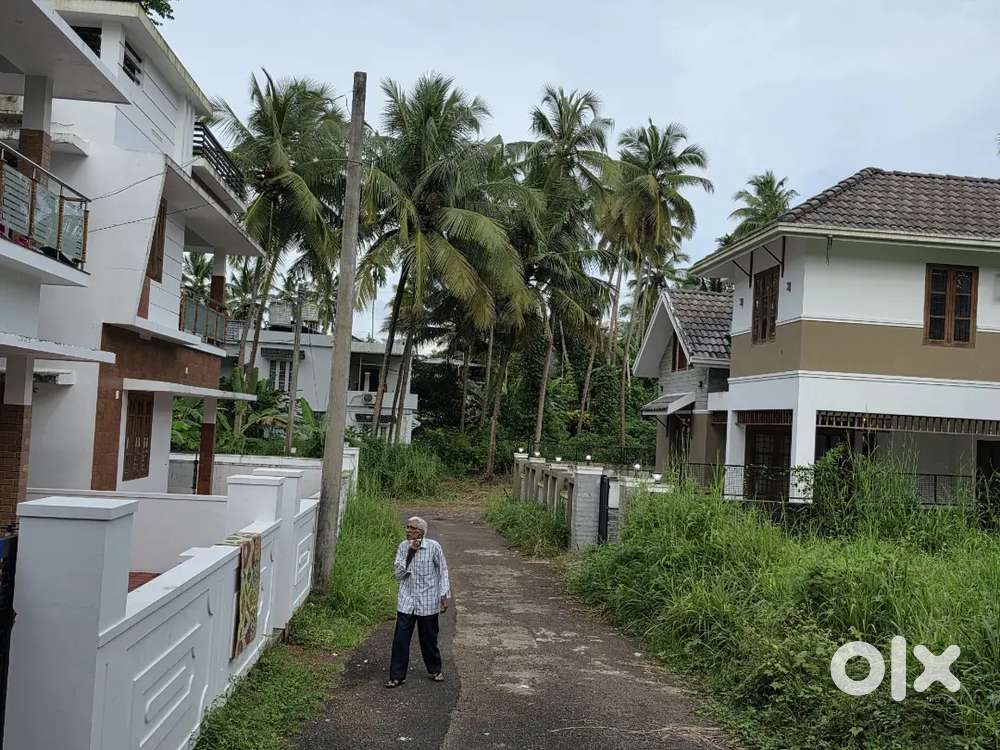 Calicut chevarampalam