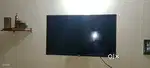 TCL LED 1 YEARS OLD ONLY