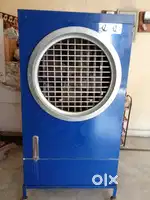 Cooler 6 months old only