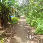 8cent house plot  airavon konni main road 300 mtr