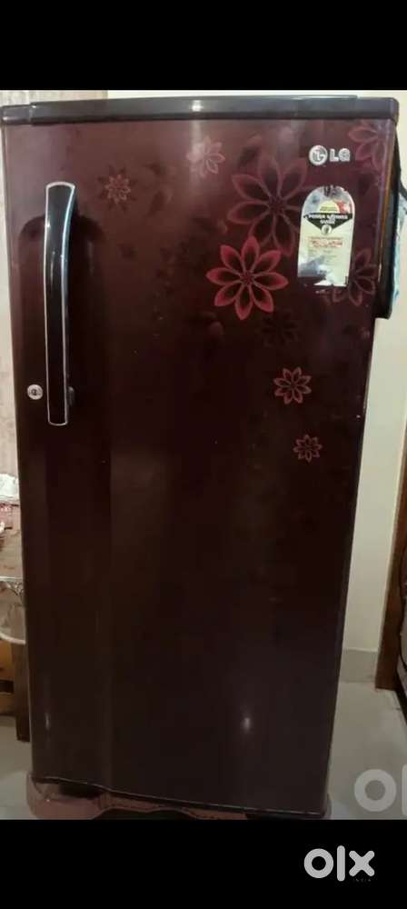 Lg refrigerator single door
