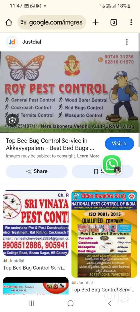 Roy pest control