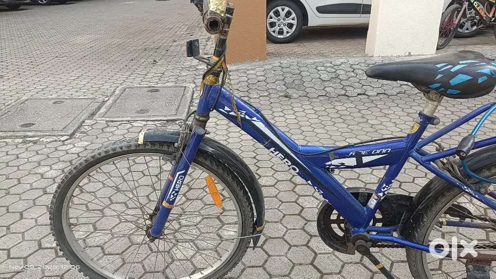 24 nch Boy Cycle Blue