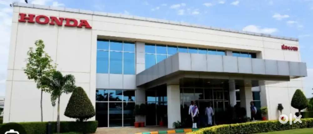 Back office executive computer operator