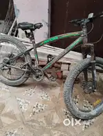 Streeth kids bycycle in the green colour
