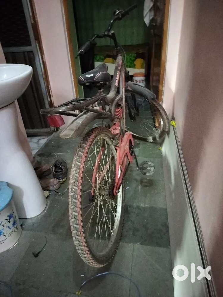 Avon cycle model passion