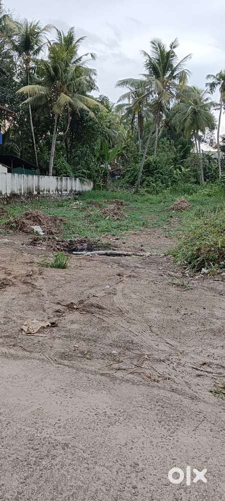Plot near Mannar bus stand ,Store Junction and Hotel Maharaja Palace .