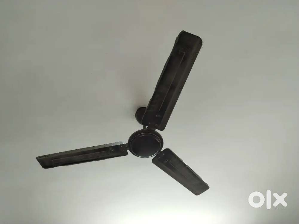 Ceiling Fan