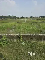 I want sell my plot urgent need