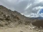 Near Hear foundation