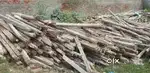 Shuttering plates and bali