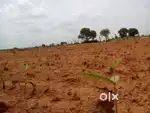 1.5 Acre land for sale near Nagarguda-10 kms from Chevella