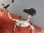 Exercise Cycle