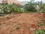 Prime Residential Plot for Sale in Bojjavarithota