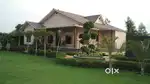 Farm house land just 69.95 lac noida Faridabad highway green area