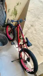 fat tyre cycle