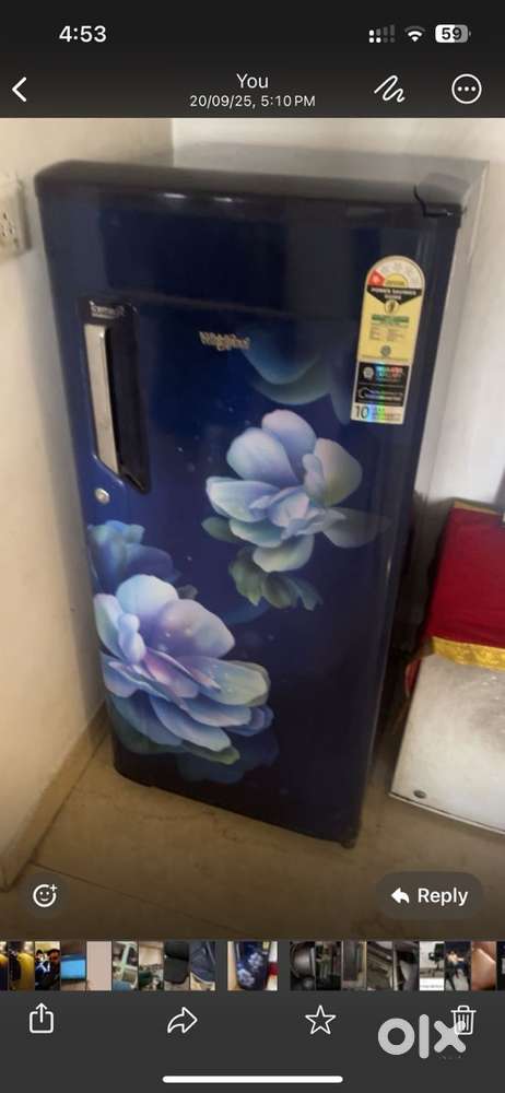 Fridge and deep freezer