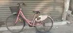 Ladies cycle