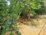 14.5 Residencial Land Near Viyyur Thrissur