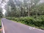 Property in Yercaud pelathur
