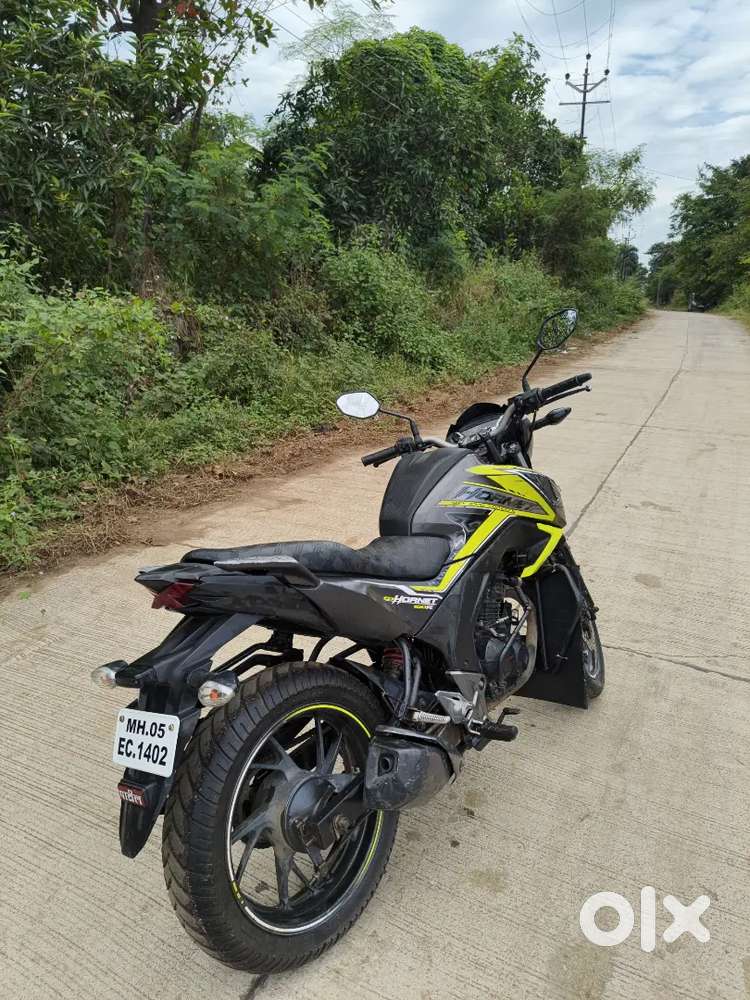 Well-Maintained Hornet for Sale – Excellent Condition!