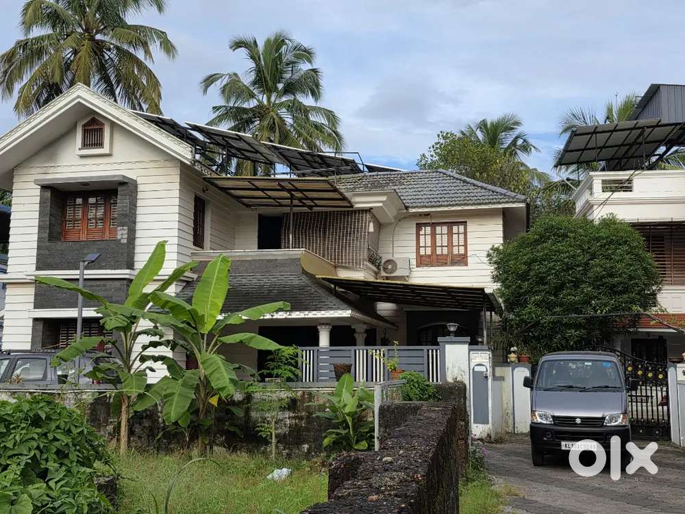 Calicut nadakkav