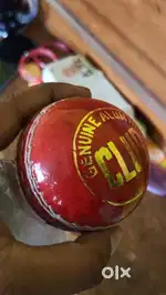 Cricket leather quality ball