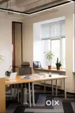 Travel executive
