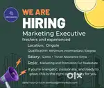 marketing executive