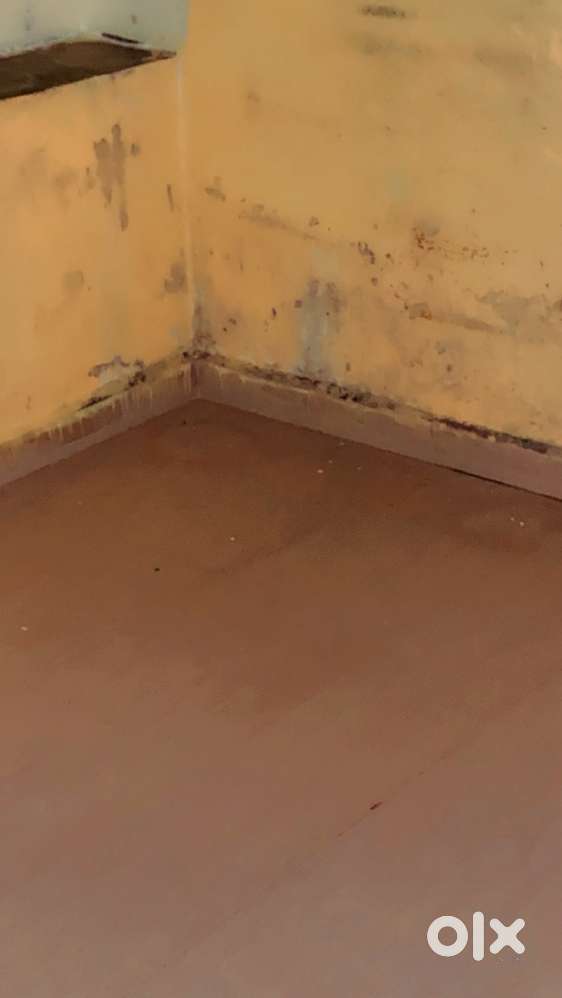 single room for rent