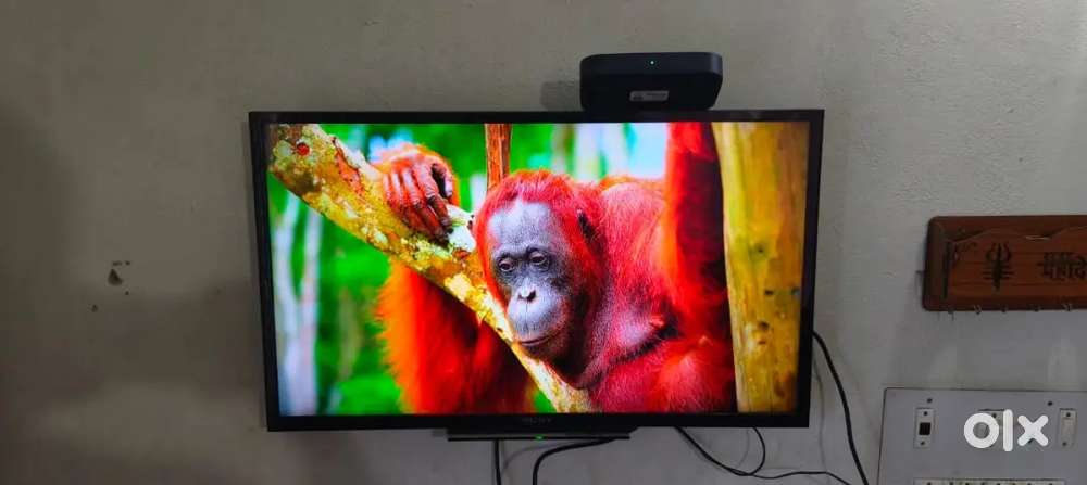 Sony LED Television
