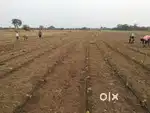 Agricultural land for sale in Samudrapur tahsil