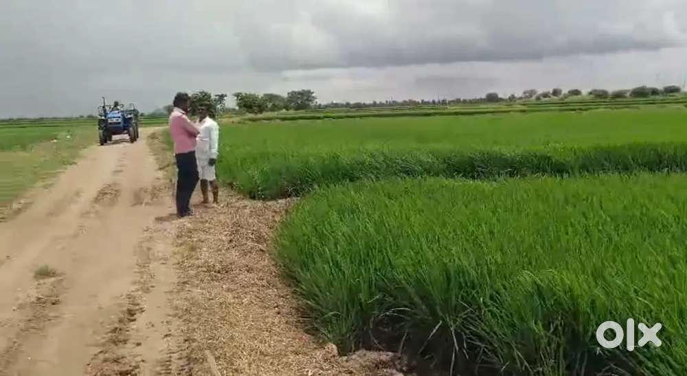 Agriculture irritated land for sale