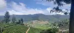 Coonoor Ooty plot land 10 cents Very scenic land for sale