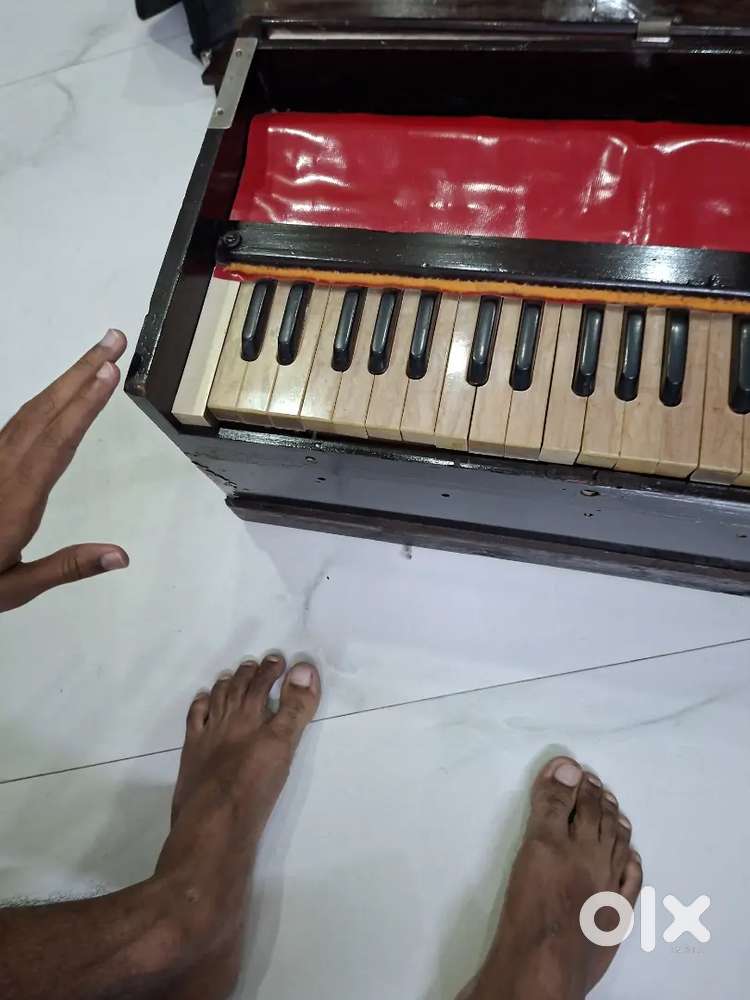 A1 conditioned harmonium.