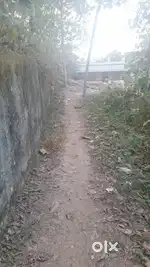 SOBHA Ridge, 4 cent Alathara Rd, Aakkulam,