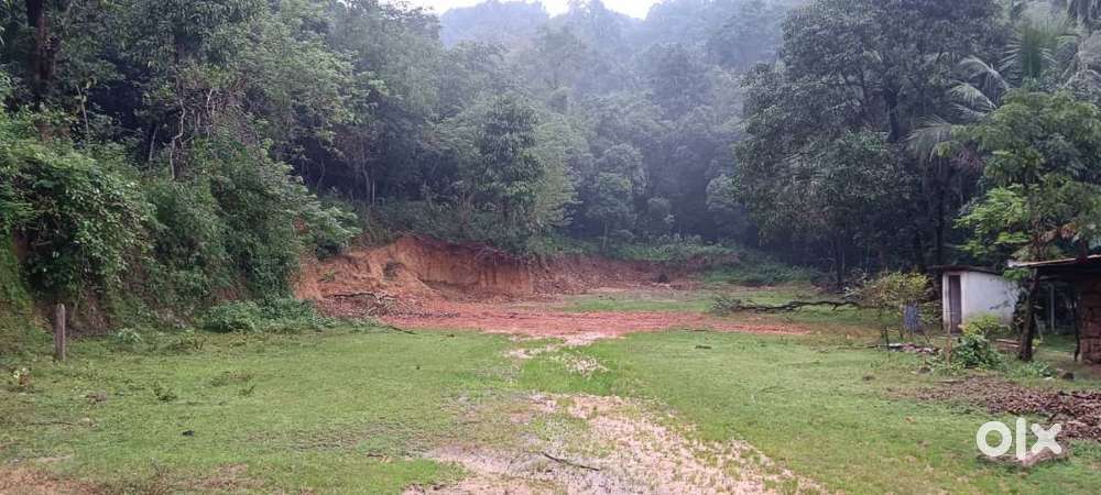 3 Acre Areca Farm + Plain Land for Sale  Attached to NH-69