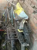 Avon cycle