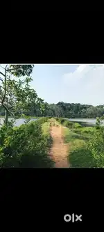 1,25,000/ cent with water frontage and road access