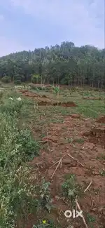 25 to 50 cent plot for sell