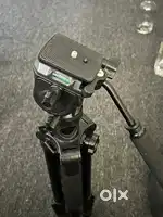 Tripod for shoot