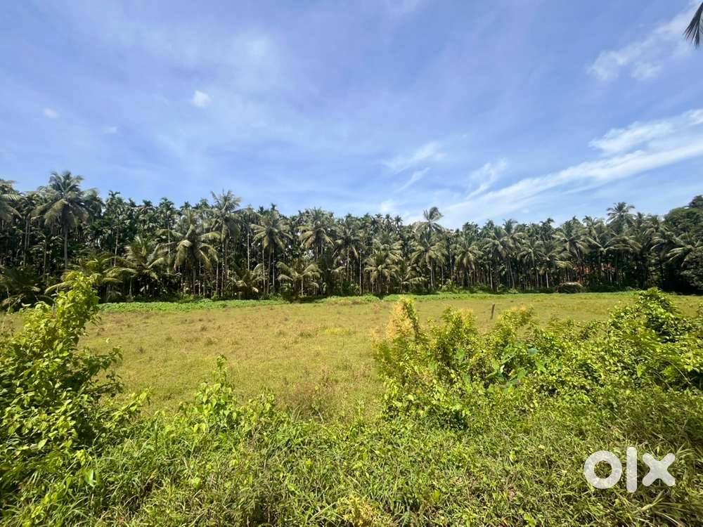 45 cents for sale-10 cents converter land 35 agricultural land