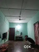Need roommate
