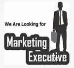 Need a sales associate to help me in getting business