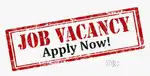 WANTED OFFICE WORK ASSISTANT