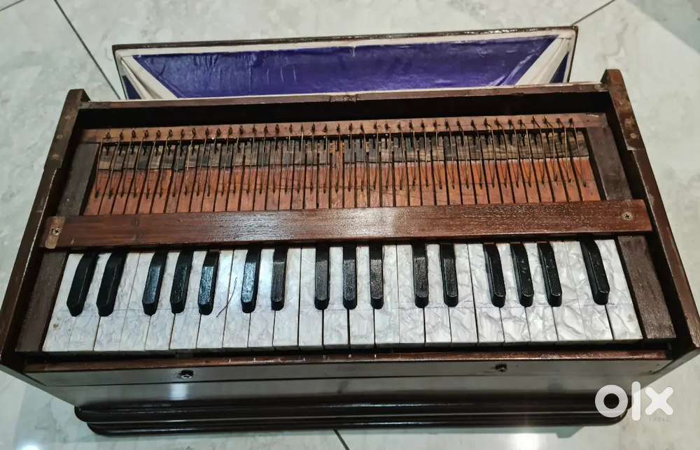 Germany harmonium